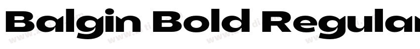 Balgin Bold Regular字体转换